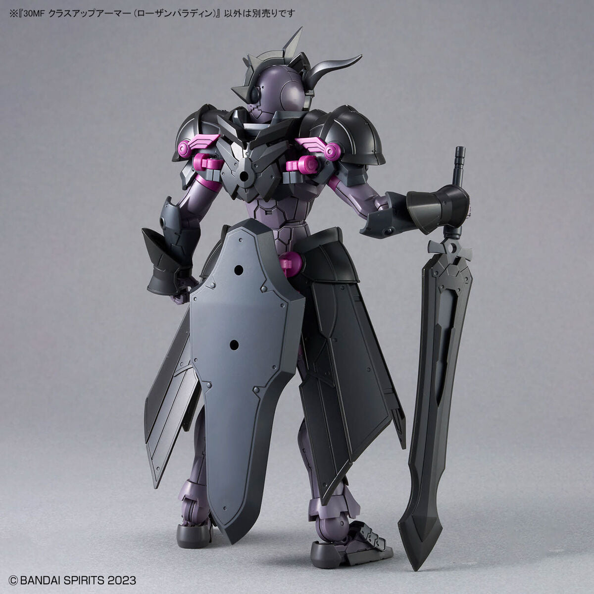 30MF クラスアップアーマー (ローザンパラディン)