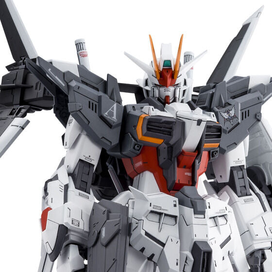 MG 1/100 ガンダムエクスインパルス GUNDAM Ex IMPULSE