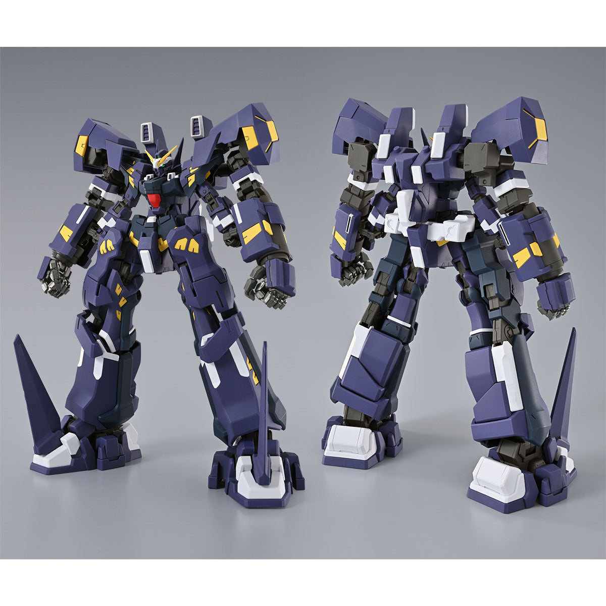 HG HÜCKEBEIN BOXER