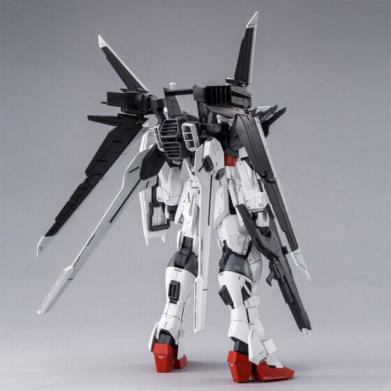 MG 1/100 ガンダムエクスインパルス GUNDAM Ex IMPULSE