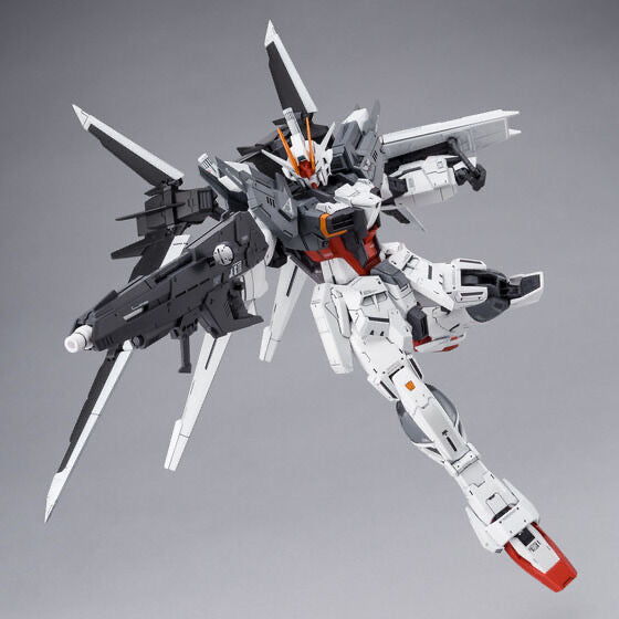 MG 1/100 ガンダムエクスインパルス GUNDAM Ex IMPULSE