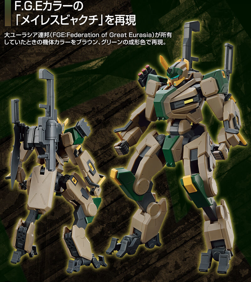 HG 1/72 MAILeS Pheasant (FGE color)