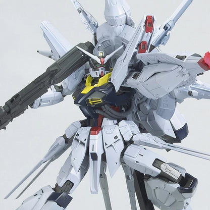 MG 1/100 God's Will Gundam