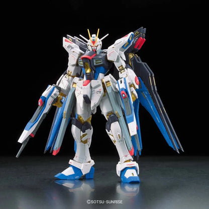 RG 1/144 Assault Freedom Gundam